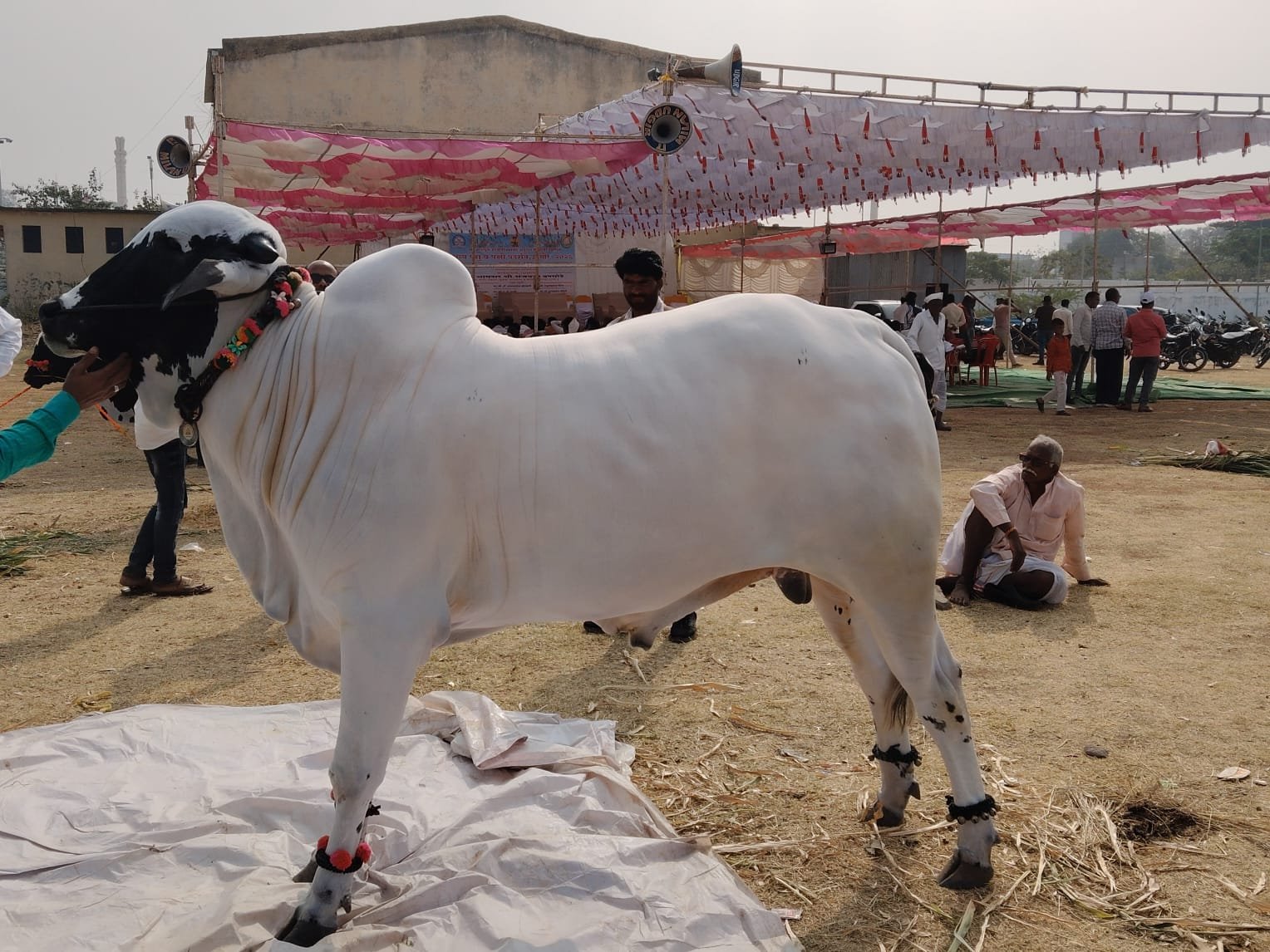 होम स्लाइड 3